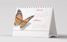 1507664879_Table-Calendar.png