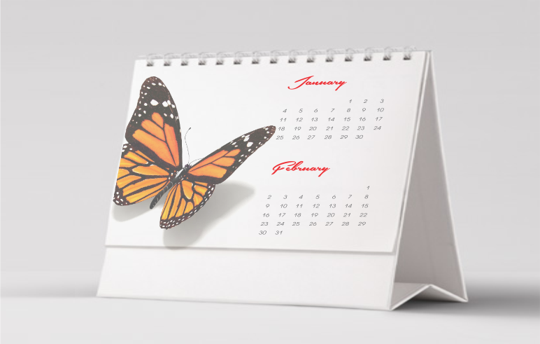 1507664879_Table-Calendar.png