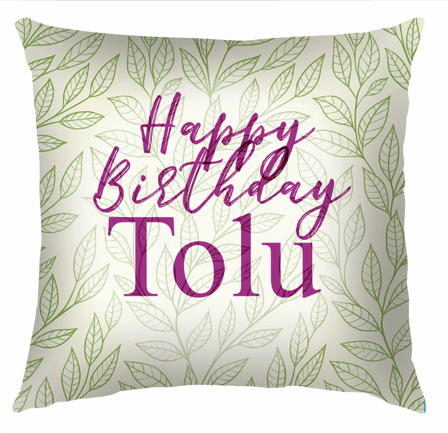 1531334007_throwpillow.png
